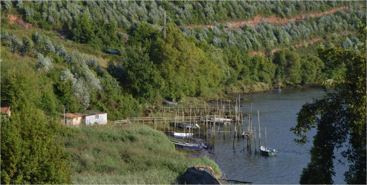 La Quintana Del Castillo Soto Del Barco Exterior photo